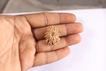 Load image into Gallery viewer, 17 Mukhi Nepalese Rudraksha - Bead No. 74
