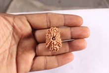 Load image into Gallery viewer, 16 Mukhi Rudraksha from Nepal - Bead No. 128
