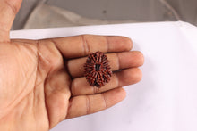 Load image into Gallery viewer, 16 Mukhi Rudraksha from Nepal - Bead No. 40
