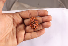 Load image into Gallery viewer, 16 Mukhi Rudraksha from Nepal - Bead No. 63
