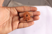 Load image into Gallery viewer, 16 Mukhi Rudraksha from Nepal - Bead No. 78
