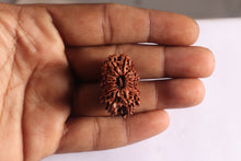 Load image into Gallery viewer, 18 Mukhi Rudraksha from Nepal - Bead No. 56
