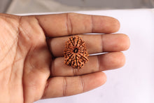 Load image into Gallery viewer, 15 Mukhi Rudraksha from Nepal - Bead No. 73
