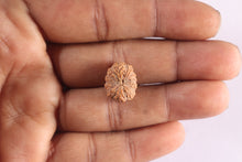 Load image into Gallery viewer, 10 Mukhi Rudraksha from Indonesia - Bead No. 5
