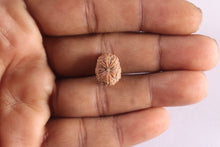 Load image into Gallery viewer, 10 Mukhi Rudraksha from Indonesia - Bead No. 12
