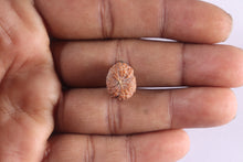 Load image into Gallery viewer, 10 Mukhi Rudraksha from Indonesia - Bead No. 15
