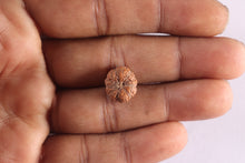 Load image into Gallery viewer, 8 Mukhi Rudraksha from Indonesia - Bead No. 17
