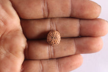 Load image into Gallery viewer, 10 Mukhi Rudraksha from Indonesia - Bead No. 18
