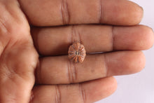 Load image into Gallery viewer, 9 Mukhi Rudraksha from Indonesia - Bead No. 21
