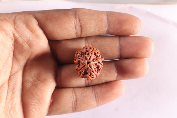 Nepalese Ganesh Rudraksha - Bead No. 323
