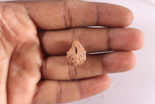 Load image into Gallery viewer, 20 Mukhi Indonesian Rudraksha - Bead 91
