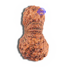Load image into Gallery viewer, Twenty four Mukhi Rudraksha from Indonesia - Bead No. i
