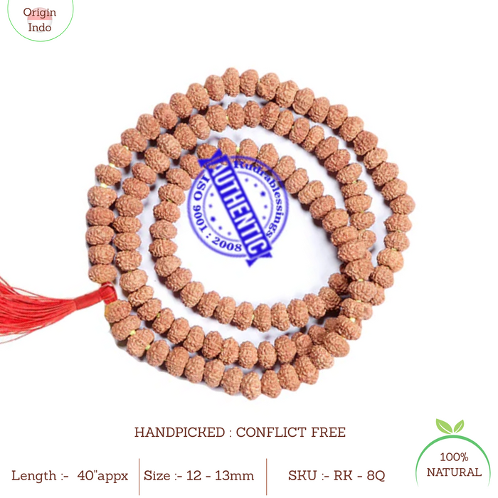 8 Mukhi Asthavinayaka Rudraksha Mala - (108+1 beads - Indonesian) - 4