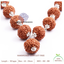 Load image into Gallery viewer, 8 Mukhi Indonesian Rudraksha Mala - 32+1 (Pure Silver)
