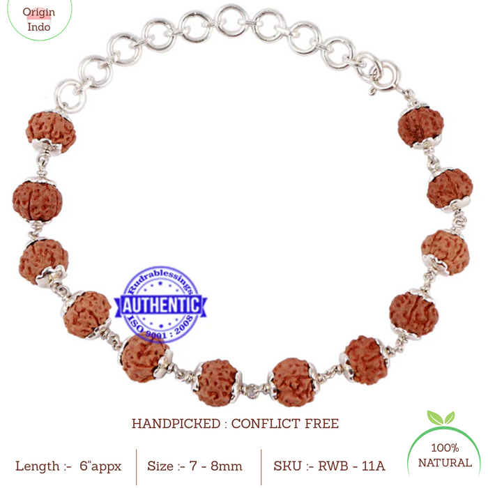 11 Mukhi Indonesian Rudraksha Bracelet (Pure Silver)