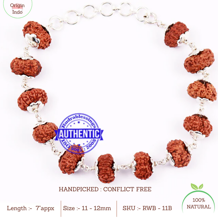 11 Mukhi Indonesian Rudraksha Bracelet (Pure Silver)