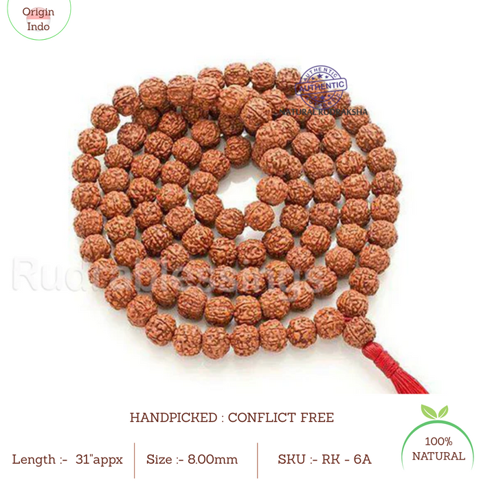 6 Mukhi Rudraksha Mala - (108+1 beads - Indonesian)