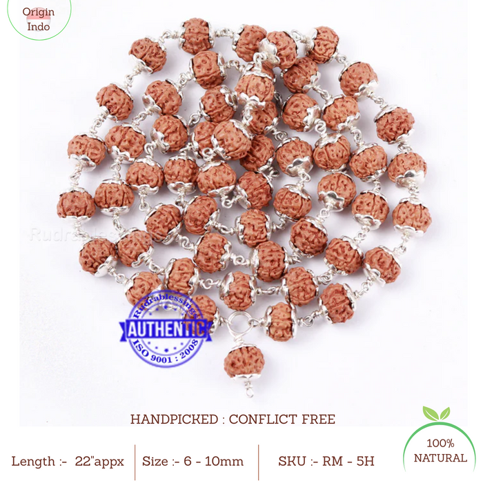 5 Mukhi Chikna Chapta Rudraksha Mala - 54+1 (Pure Silver)