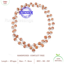 Load image into Gallery viewer, 6 Mukhi Rudraksha Mala - 54+1 (Pure Silver)
