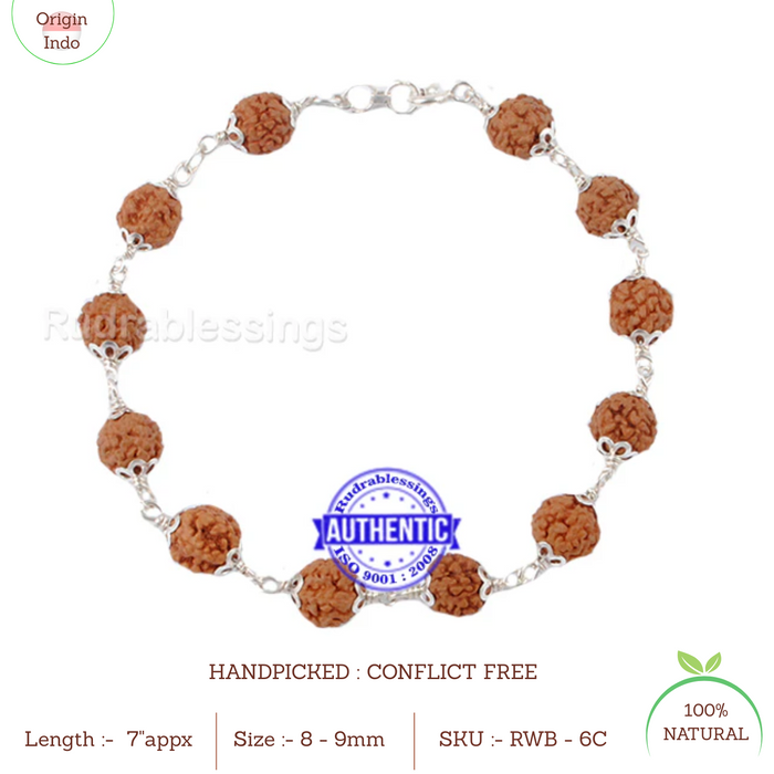 6 Mukhi Rudraksha Bracelet (Pure silver)