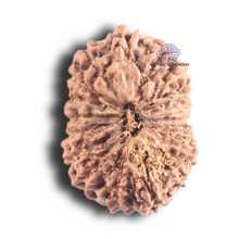 Load image into Gallery viewer, 18 Mukhi Rudraksha from Indonesia - Bead No. 89
