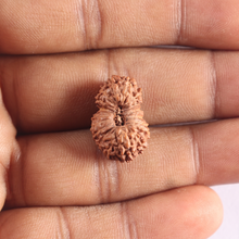 Load image into Gallery viewer, 18 Mukhi Rudraksha from Indonesia - Bead No. 90
