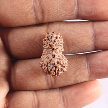 Load image into Gallery viewer, 18 Mukhi Rudraksha from Indonesia - Bead No. 52
