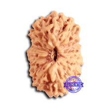Load image into Gallery viewer, 16 Mukhi Rudraksha from Indonesia - Bead No. 283
