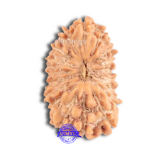Load image into Gallery viewer, 18 Mukhi Rudraksha from Indonesia - Bead No. 148
