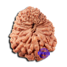 Load image into Gallery viewer, 18 Mukhi Rudraksha from Indonesia - Bead No. 235
