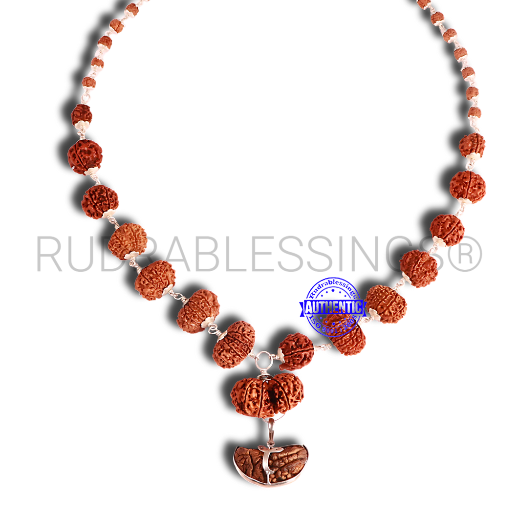 Rudraksha SidhShakti Mala from Nepal (big size beads)