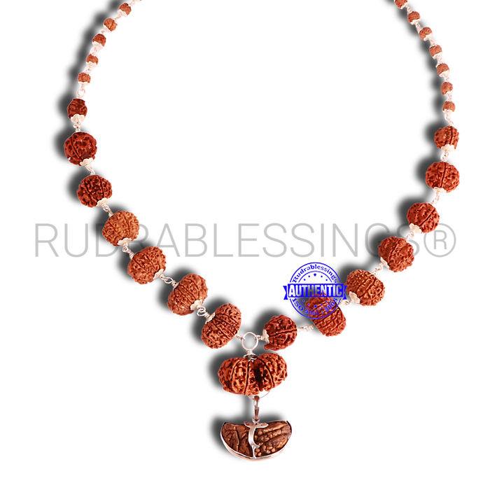Rudraksha SidhShakti Mala from Nepal (big size beads)