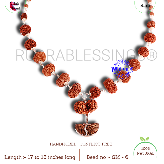 Rudraksha SidhShakti Mala from Nepal (Big size beads)