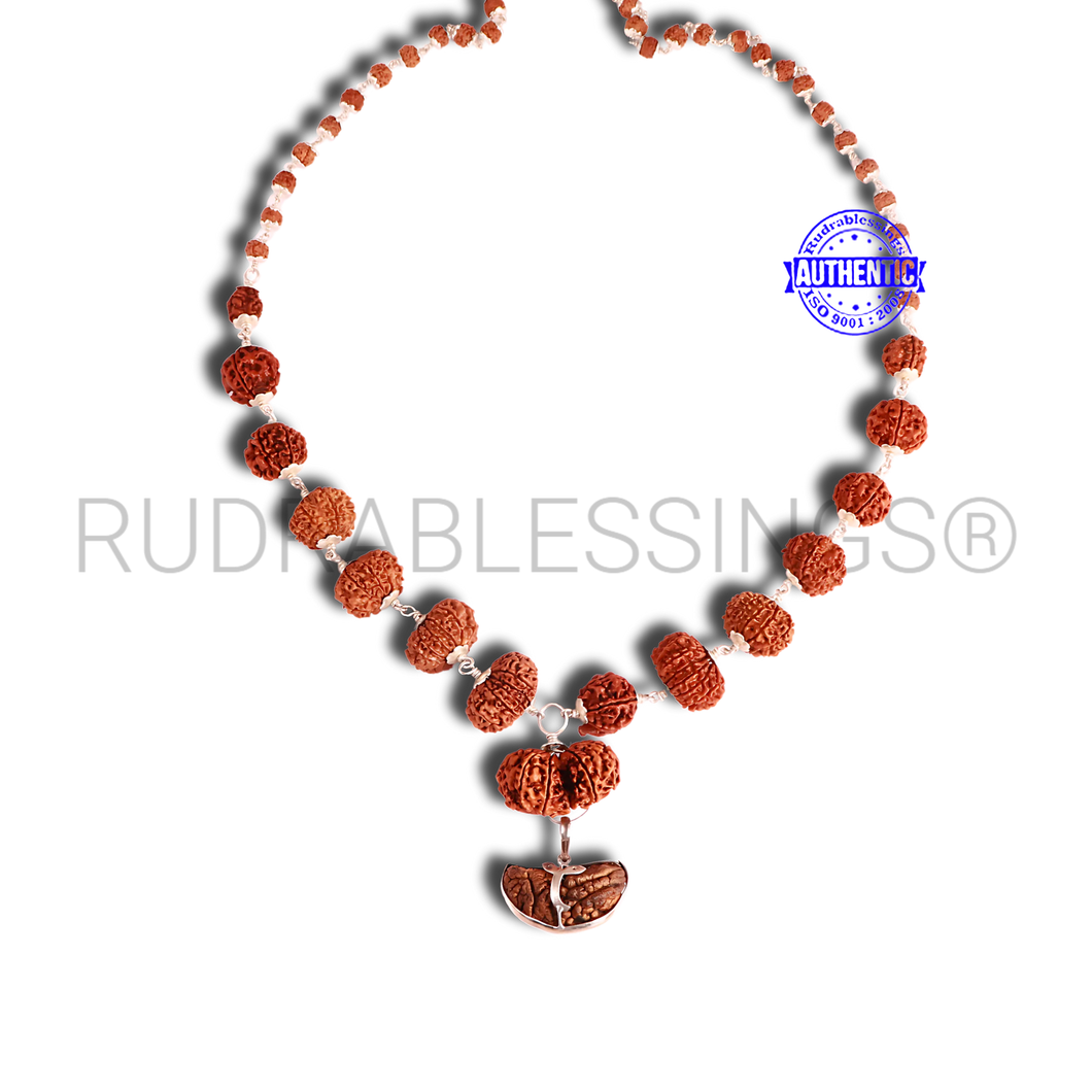Rudraksha SidhShakti Mala from Nepal (Std size beads)