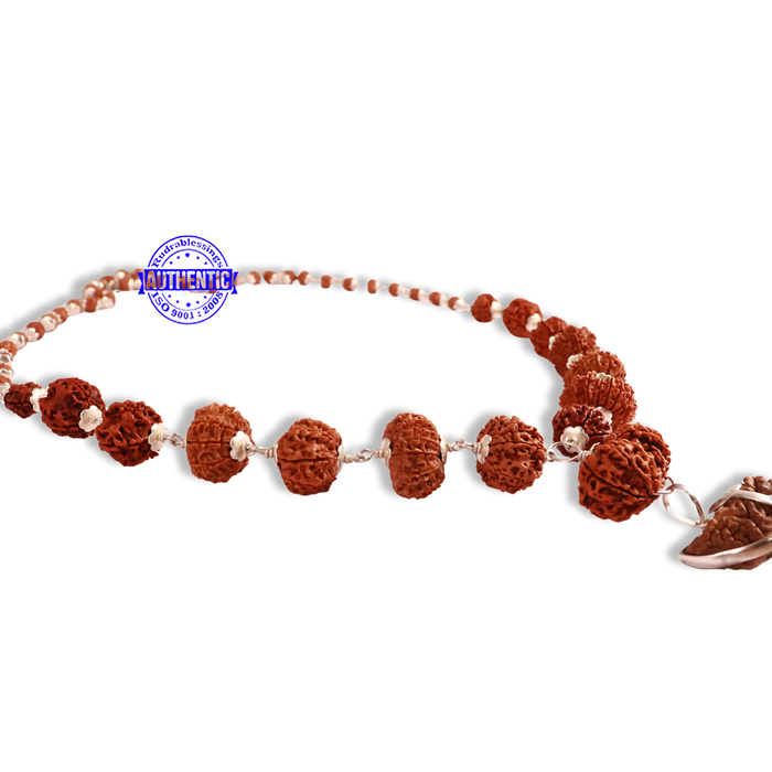 Rudraksha SidhShakti Mala from Nepal (big size beads)