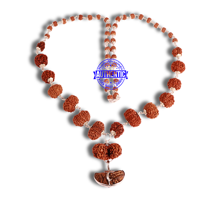 Rudraksha SidhShakti Mala from Nepal (big size beads)