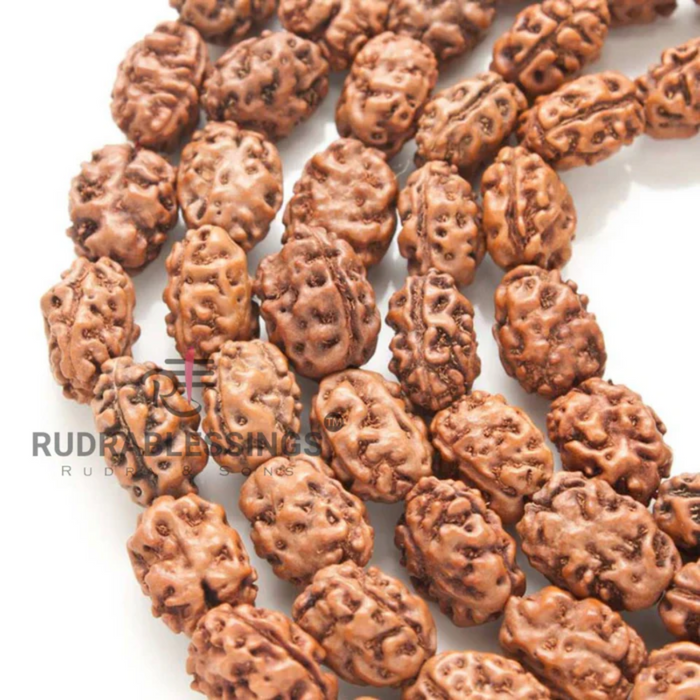 3 Mukhi Agni Rudraksha Mala - 1 (108+1)