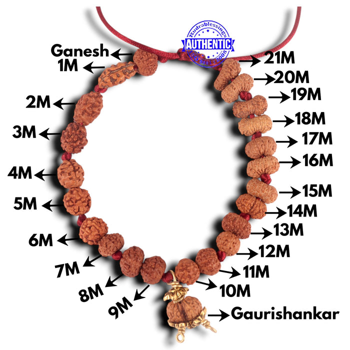 Rudraksha Shahi Indrani Bracelet (Indonesian Mini beads)