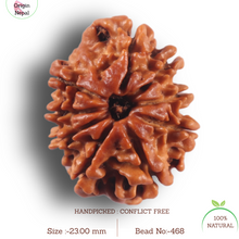 Load image into Gallery viewer, 9 Mukhi Nepalese Rudraksha - Bead No. 468

