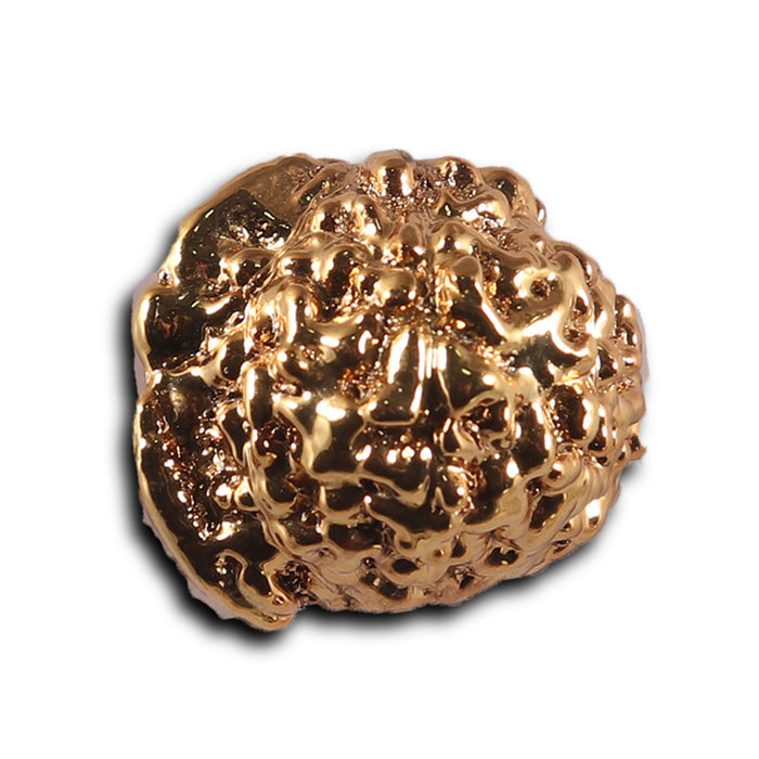 Indonesian Ganesh Goldplating  Rudraksha - Bead No. 1