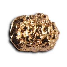 Load image into Gallery viewer, Indonesian Ganesh Goldplating Rudraksha - Bead No. 3
