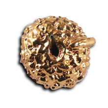 Load image into Gallery viewer, Indonesian Ganesh Goldplating  Rudraksha - Bead No. 1
