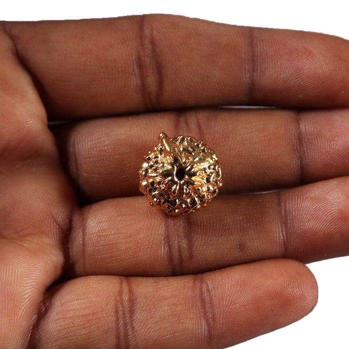 Indonesian Ganesh Goldplating  Rudraksha - Bead No. 1