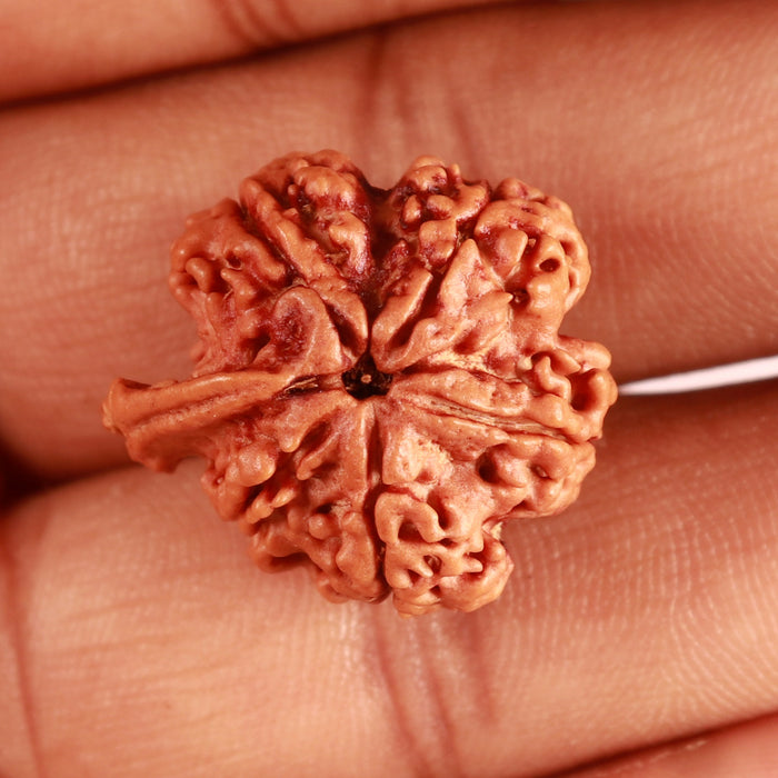Nepalese Ganesh Rudraksha - Bead No. 194