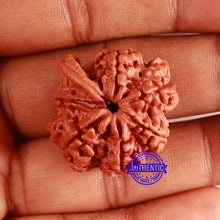 Load image into Gallery viewer, Nepalese Ganesh Rudraksha - Bead 238

