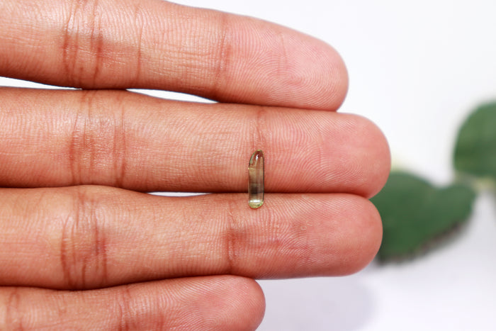 Emerald / Panna - 71