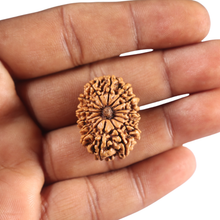 Load image into Gallery viewer, 15 Mukhi Rudraksha from Nepal - Bead No. 83
