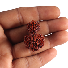 Load image into Gallery viewer, 14 Mukhi Nepalese Garbhgauri Rudraksha - Bead No. 164
