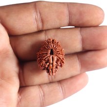 Load image into Gallery viewer, 20 Mukhi Nepalese Rudraksha - Bead No. 10
