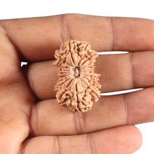 Load image into Gallery viewer, 18 Mukhi Ganesh Rudraksha from Nepal - Bead No. 61
